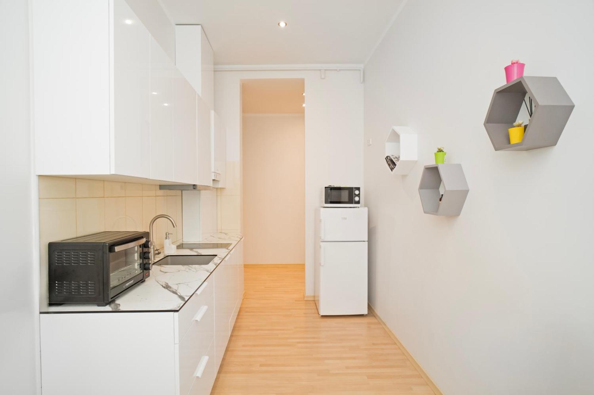 Kaunas Castle Apartments - One Bedroom Flat Екстериор снимка
